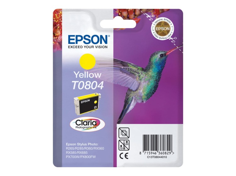 epson t0804.jpg