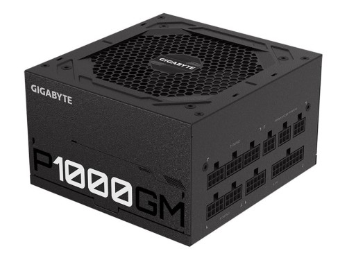 P1000GM.jpg
