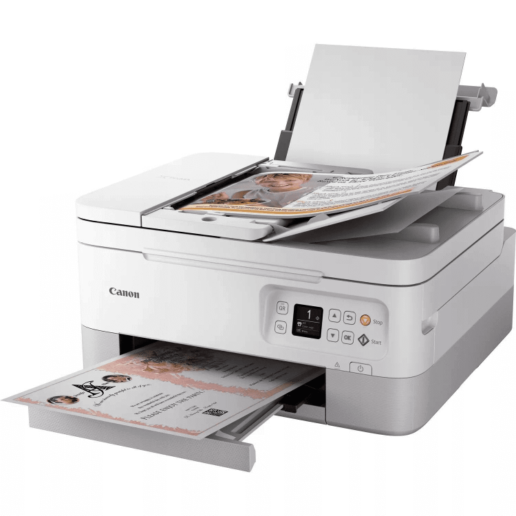 ts7451.png1.png
